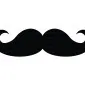 monsieur.moustache